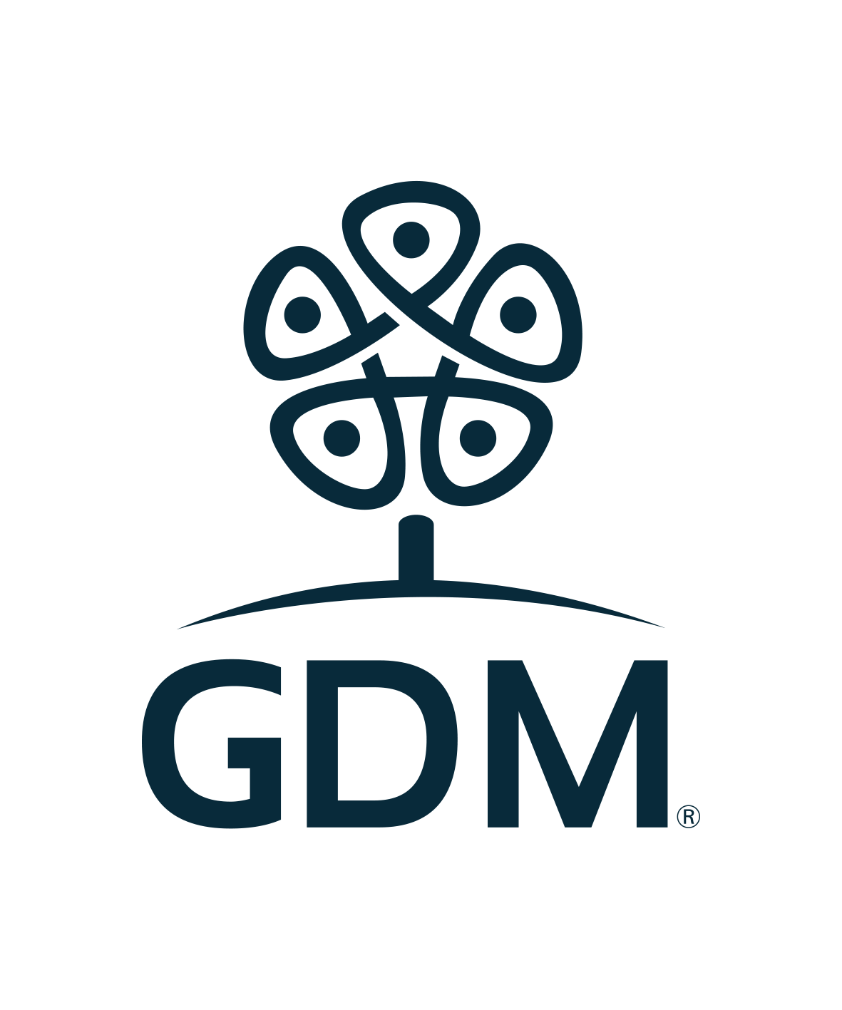 gdm logo agfly